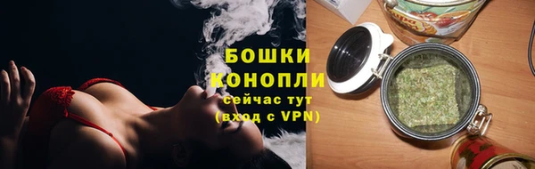 PSILOCYBIN Ельня