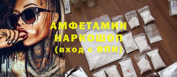 PSILOCYBIN Ельня