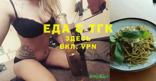 PSILOCYBIN Ельня