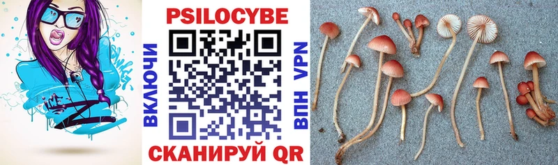 Купить  Усть-Катав  Галлюциногенные грибы Cubensis 